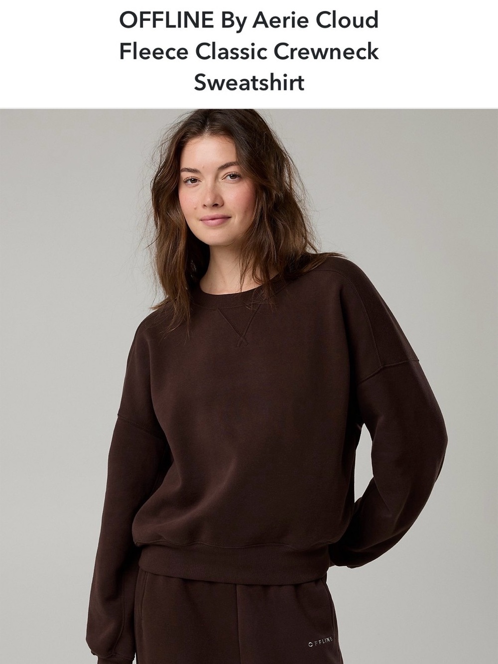 Aerie could fleece classic fit sweatshirt